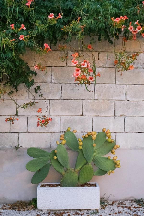 Bed and Breakfast Terra D'Otranto Уджано-ла-К'єза Екстер'єр фото